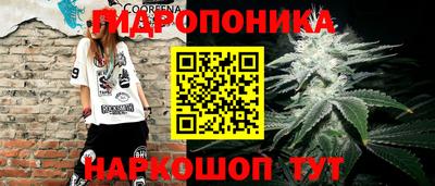 гашик Северобайкальск