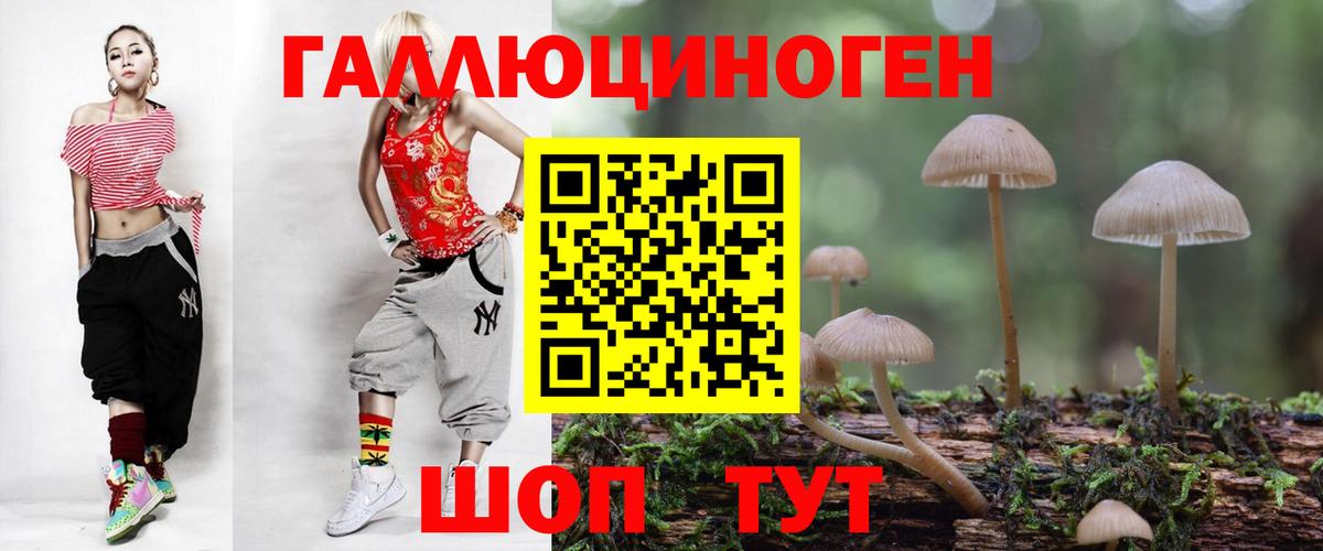 Петрозаводск  Галлюциногенные грибы Psilocybine cubensis  Вход с VPN 